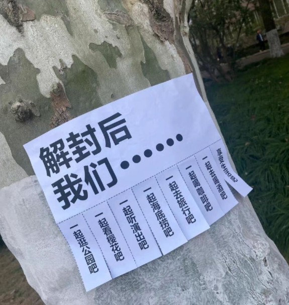 谁也别拦着我解封后我一定要