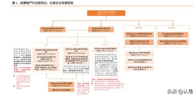 化妆品行业-贝泰妮研究报告：量价齐升共驱皮肤学级黄金赛道
