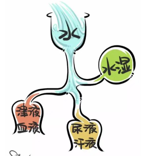 就是"喝水不管喝再多都不解渴",因为水液代谢转化的途径受到了阻碍,不