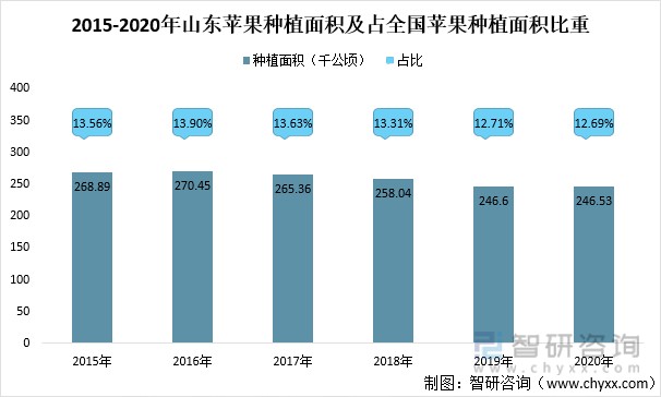 2015-2020年山东苹果种植面积及占全国苹果种植面积比重