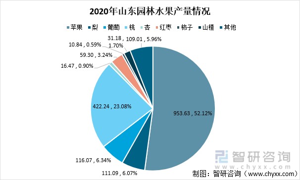 2020年山东园林水果产量情况