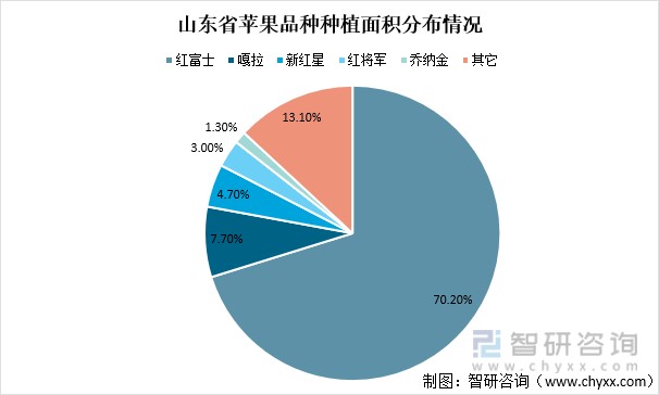 山东省苹果品种种植面积分布情况