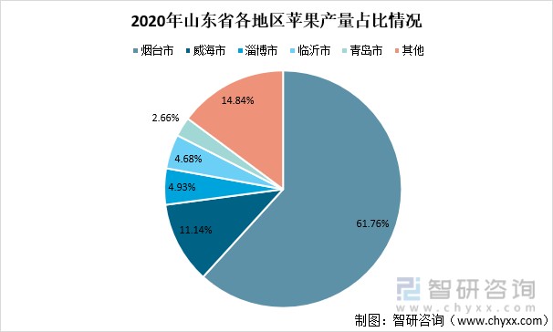 2020年山东省各地区苹果产量占比情况