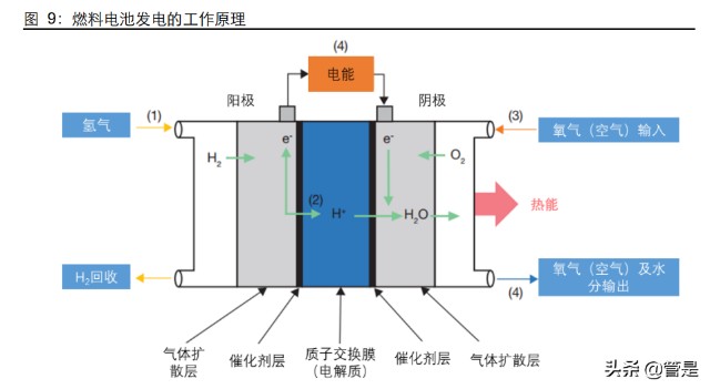 燃料电池行业亿华通研发区域布局成就燃料电池系统市占率第一