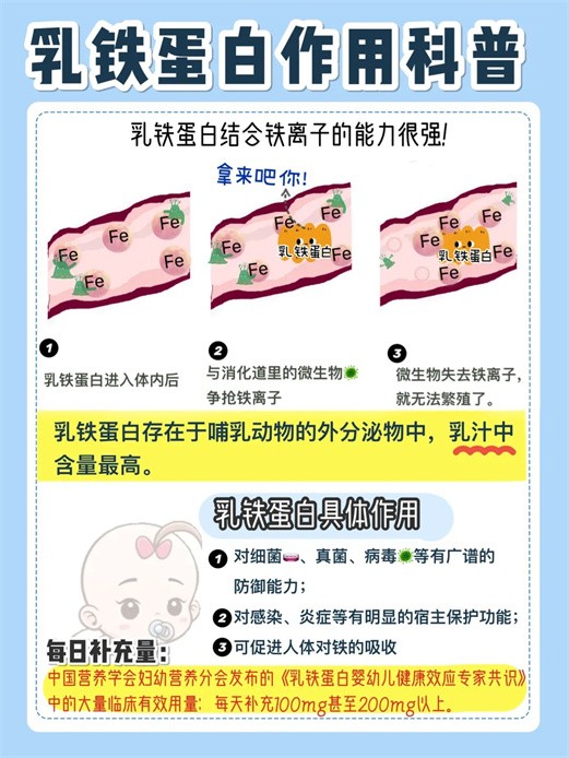 乳铁蛋白到底有没有用,怎么选,怎么吃?这一篇,全讲清楚!