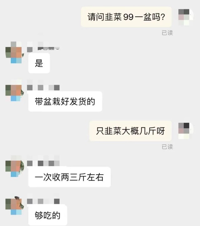 明星都爱的阳台种菜引风潮，富景中国冲击“盆栽蔬菜第一股”