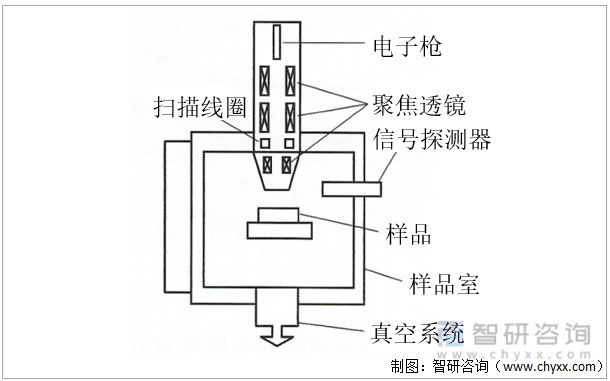 扫描电子显微镜结构图扫描电子显微镜(sem)简称为扫描电镜,是指利用