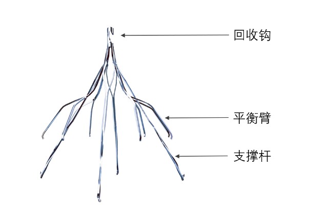 首个22万亿生物经济规划出炉，涉及哪些医械？