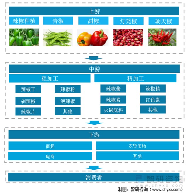 2021年中国辣椒种植面积产量及加工产业链情况分析图