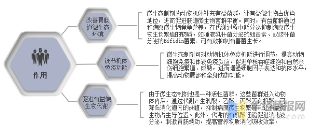 微生态制剂的作用