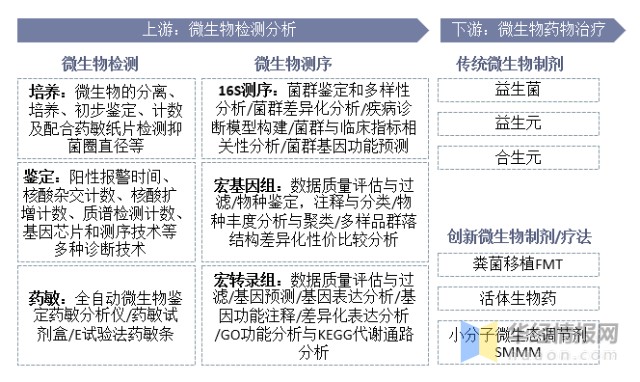 肠道微生态制剂行业产业链示意图