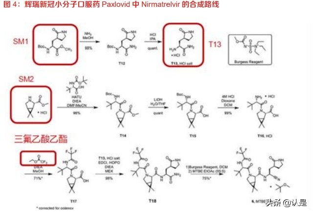 小分子药物研发：开启精准医疗新时代