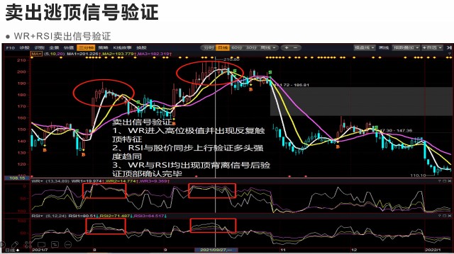 威廉指标深度看盘应用