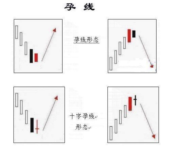 阴孕十字星图片