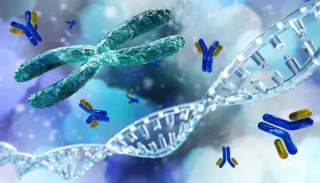 陈根单克隆抗体为抗击病毒和癌症贡献力量