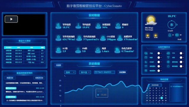 90后大军加入“新农人”，一颗番茄如何“多多益善”？