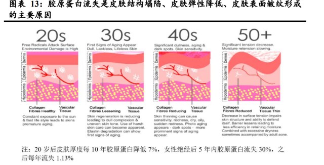 液体敷料批文怎么申请胶原蛋白行业专题研究：皮肤“软黄金”，行业红利与竞争格局_https://www.jmylbn.com_新闻资讯_第4张