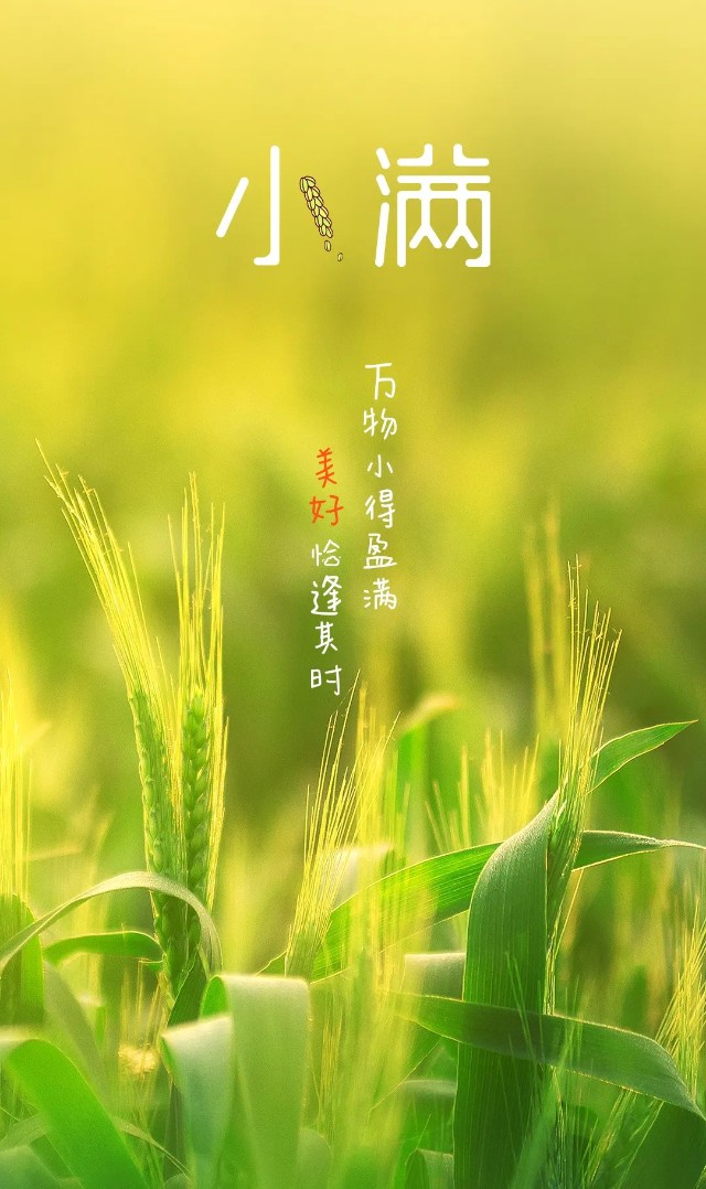 小满小得盈满方是圆满