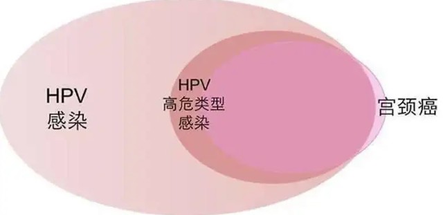 展商風向丨北京康樂衛士創新研發hpv疫苗願世界沒有傳染疾病2022北京