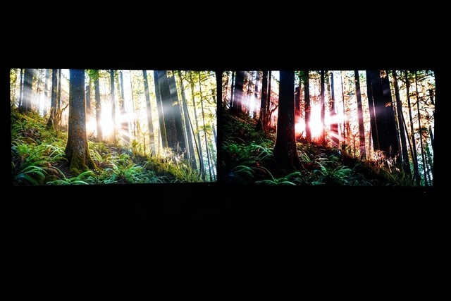 led还是小的好miniled背光与lcd屏幕显示效果实拍对比