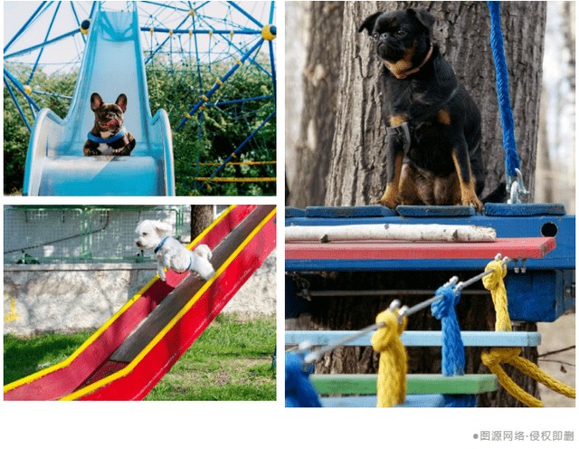 金辉地产江山云璟社区宠物乐园给萌宠撒欢的小天地