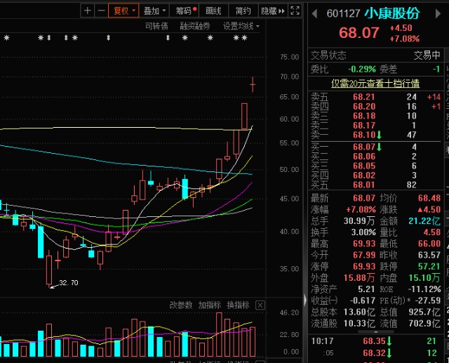 今日个股:小康股份(601127)恒帅股份(300969)只有龙一不倒,比亚迪挺住