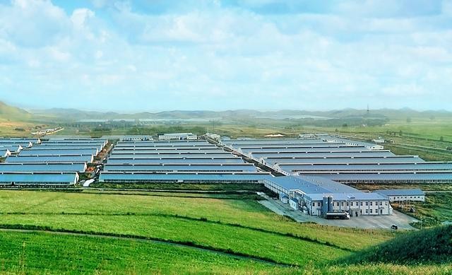 全民养牛万头牧场的目标是规模化科技养殖而非数量