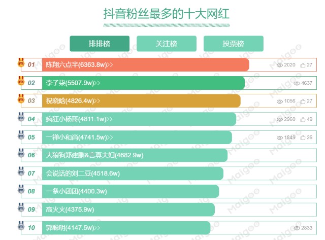 快手十大网红 排名图片