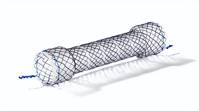 segmental stents是一款通过hanarostent技术制备的食道支架.