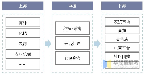 中国水果主要产业政策上下游产业链分析及行业发展趋势