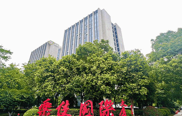 阿里杭泛项目位于杭州市余杭区,毗邻阿里西溪园区,包含乐佳国际大厦