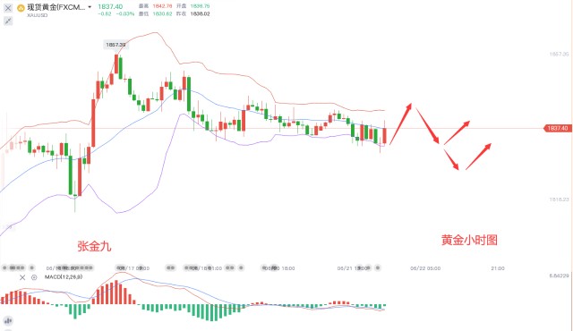 张金九6/21黄金小幅震荡，晚间是否能走出方向？黄金策略分享