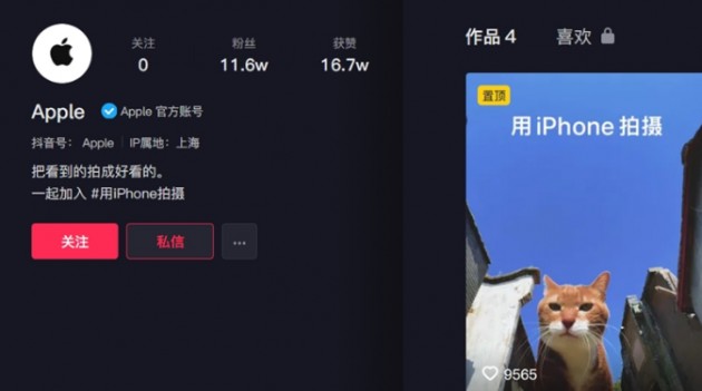 苹果开通抖音号仅半日粉丝数已突破10万