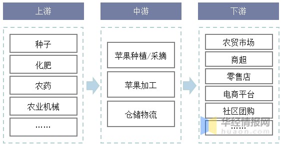 中国苹果行业发展现状全景产业链分析及发展趋势
