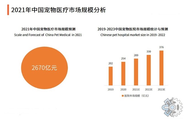 市场研究报告2022年全球宠物医疗器械市场规模