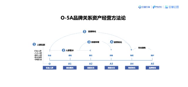 品牌心智地图图片