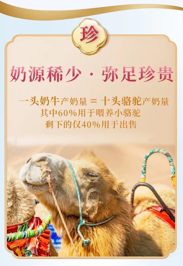 赛道拥挤的百亿驼奶市场华夏丝路驼奶粉谁将掌握破局密码