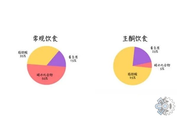 生酮饮食疗法市场调研报告：全球生酮饮食疗法市场预计在2025年有8408美元 财富号 东方财富网