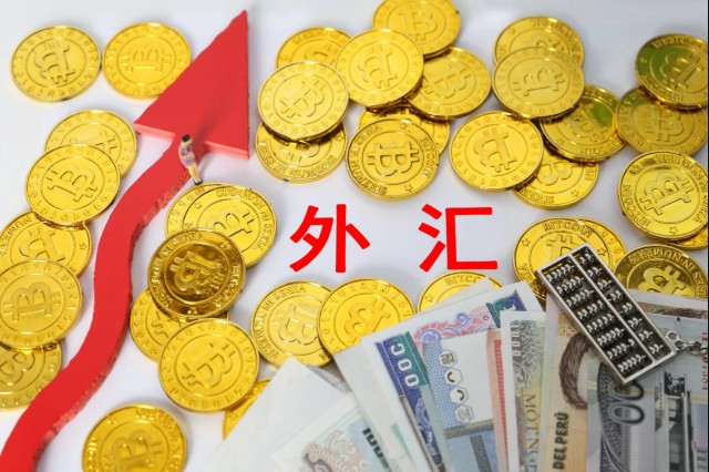 国内银行外汇交易_国内外汇交易商_国内证券能交易外汇