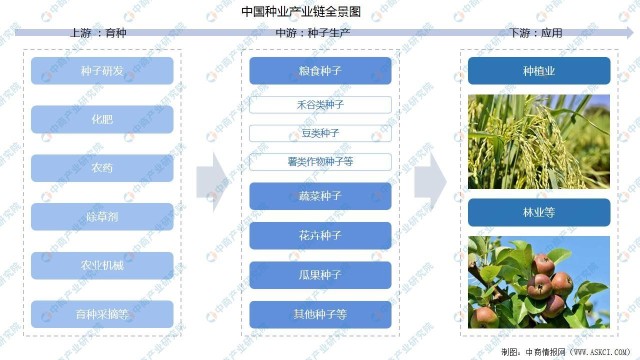 2022年中国种业产业链上中下游市场预测分析