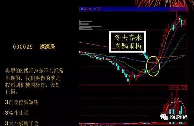 喜鹊闹梅买入信号