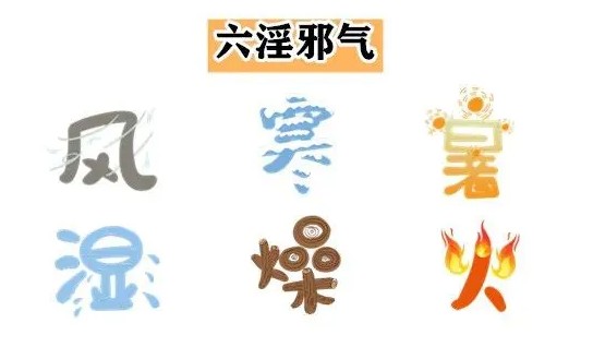 湿气是风,寒,暑,湿,燥,火六种邪气之一,为中医最重要的一个常识.