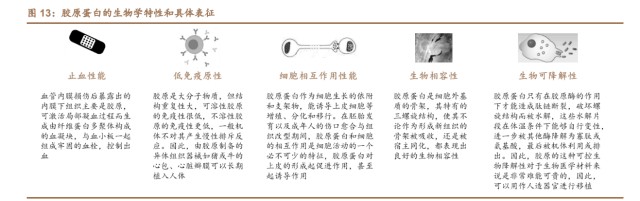 创面修复医用敷料怎么用胶原蛋白行业深度研究：四轮驱动看胶原蛋白多元发展_https://www.jmylbn.com_新闻资讯_第5张