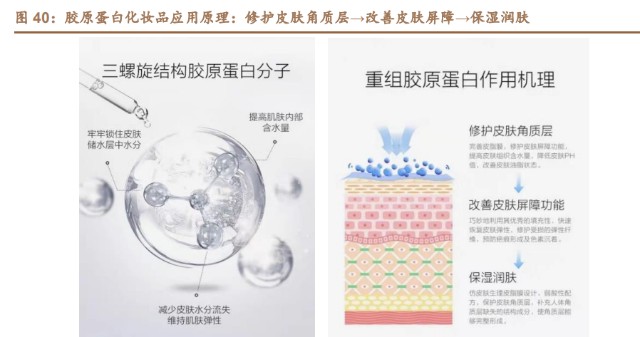 创面修复医用敷料怎么用胶原蛋白行业深度研究：四轮驱动看胶原蛋白多元发展_https://www.jmylbn.com_新闻资讯_第13张