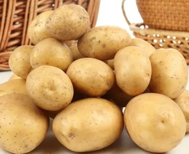 转基因食物,为什么才是未来食物?